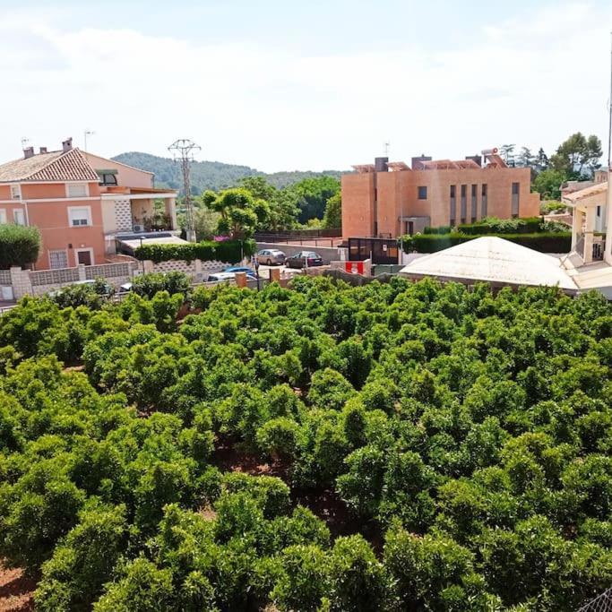 Appartement Piso Sierra Calderona A 15 Minutos Del Mar Estivella Extérieur photo